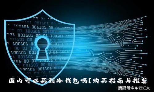 国内可以买到冷钱包吗？购买指南与推荐