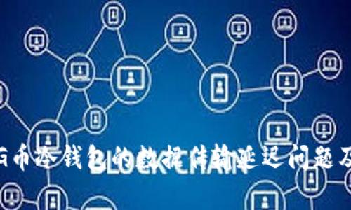 深入分析G币冷钱包的数据传输延迟问题及解决方案