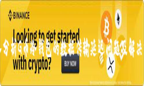 深入分析G币冷钱包的数据传输延迟问题及解决方案