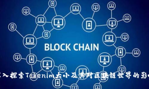 深入探索Tokenim大小及其对区块链世界的影响