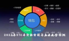 2023年BTC币价格分析与未来
