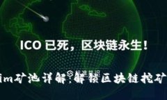 Tokenim矿池详解：解锁区块