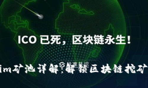 Tokenim矿池详解：解锁区块链挖矿的潜力