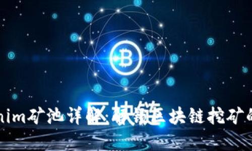 Tokenim矿池详解：解锁区块链挖矿的潜力
