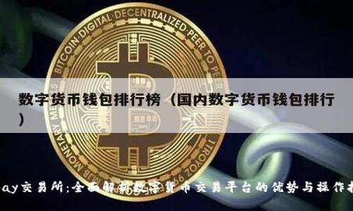 Topay交易所：全面解析数字货币交易平台的优势与操作指南