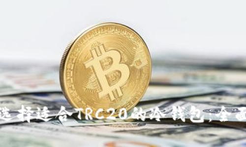 如何选择适合TRC20的冷钱包：全面指南