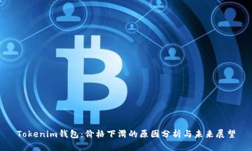 Tokenim钱包：价格下滑的原因分析与未来展望