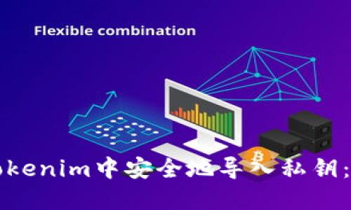 如何在Tokenim中安全地导入私钥：详尽指南