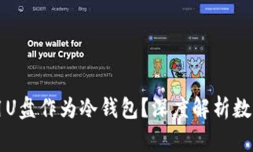 为何不建议使用U盘作为冷钱包？深度解析数位资产的安全性