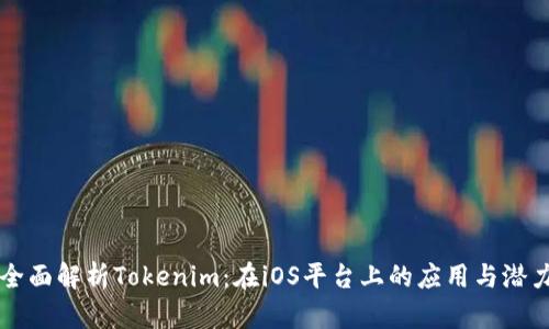 全面解析Tokenim：在iOS平台上的应用与潜力