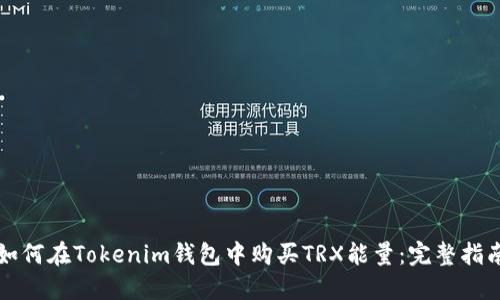 如何在Tokenim钱包中购买TRX能量：完整指南