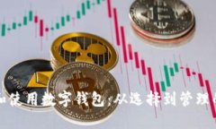 如何下载和使用数字钱包