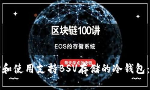 如何选择和使用支持BSV存储的冷钱包：全面指南