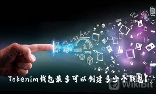 Tokenim钱包最多可以创建多少个钱包？