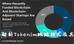 全面解析Tokenim地址格式及