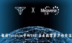 深入解析Tokenim中的VGS：未
