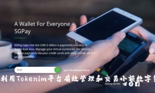 如何利用Tokenim平台有效管理和交易小额数字货币？
