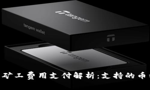 Tokenim钱包矿工费用支付解析：支持的币种与实用指南
