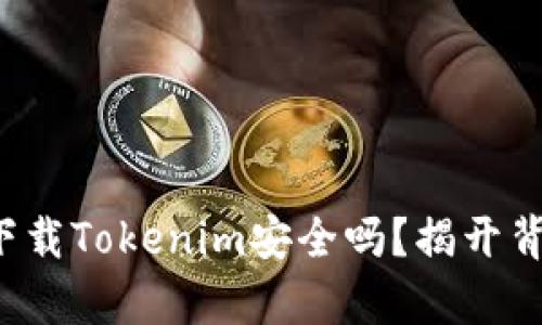 在百度上下载Tokenim安全吗？揭开背后的真相！