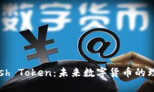 探索Dash Token：未来数字货币的理想选择